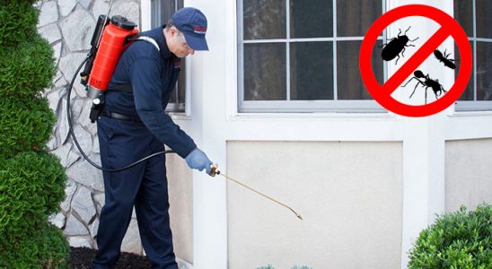 Ayvacık Tahtakurusu İlaçlama böcek ilaçlama ve haşere kontrolü — ilaclama-tr.com